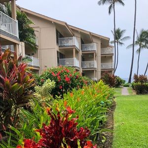 Meet your Posher, Robin